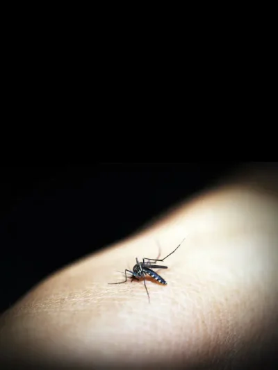 Get Out 2 in 1 (body lotion spray)